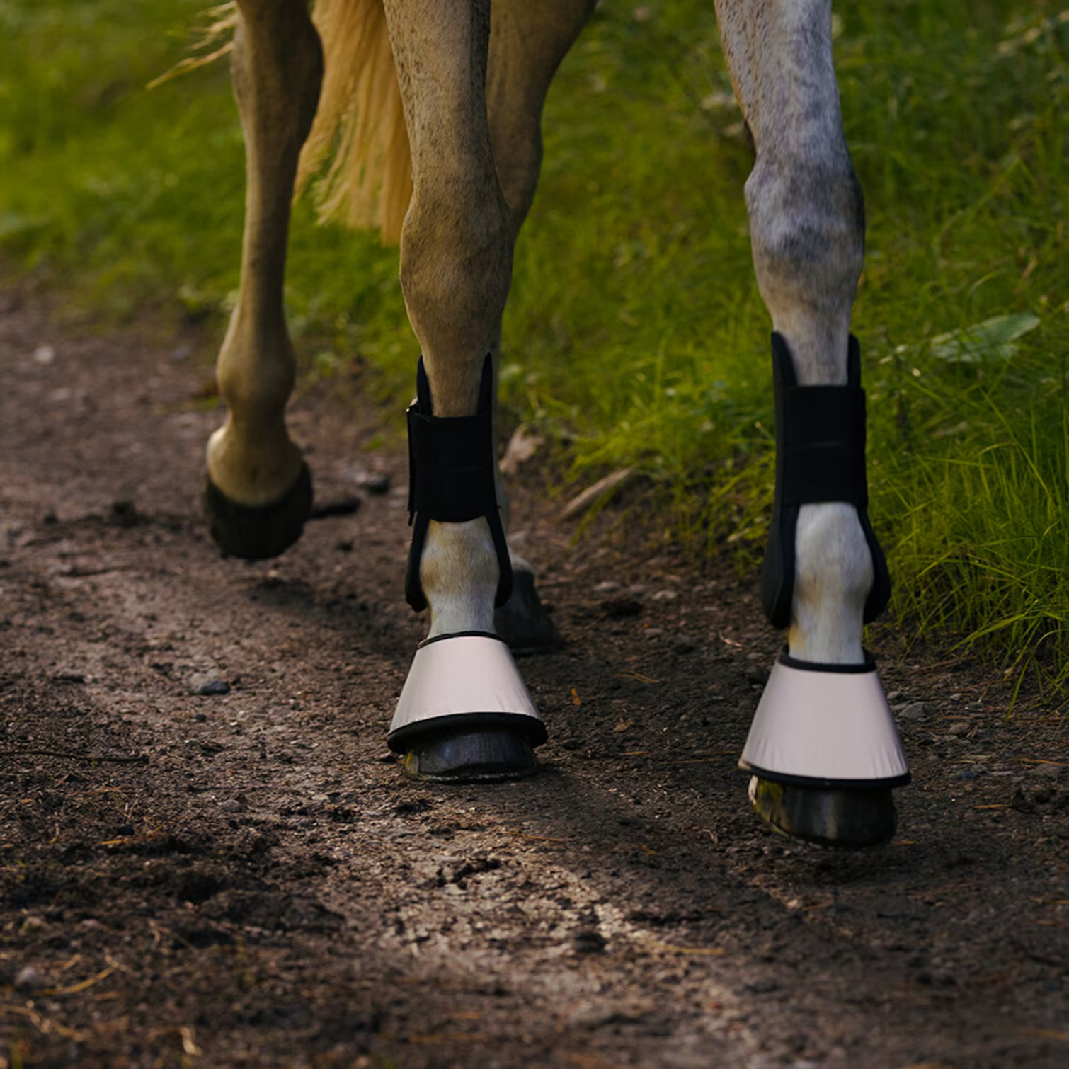 HANSBO SPORT Reflexboots