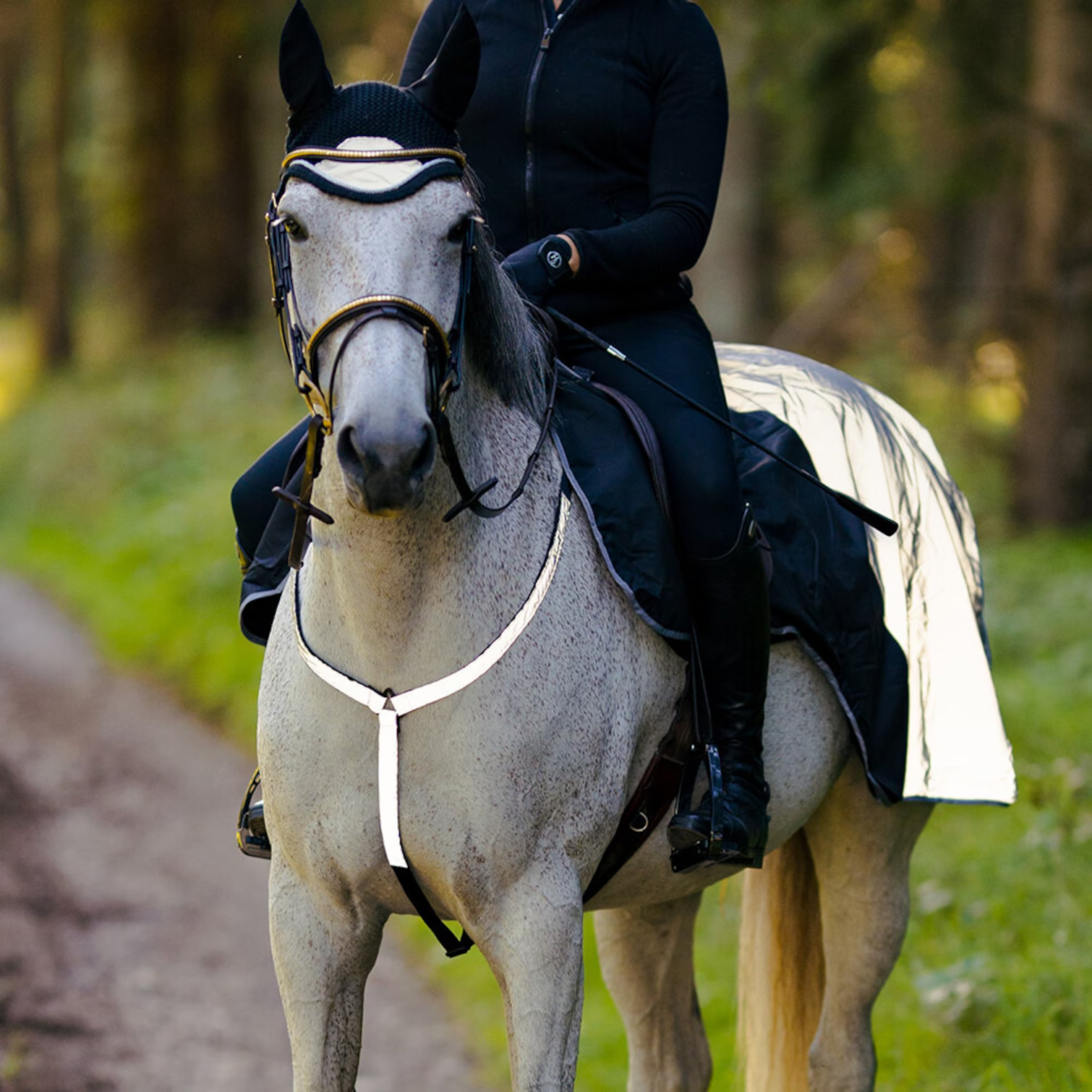 HANSBO SPORT Reflexbrösta