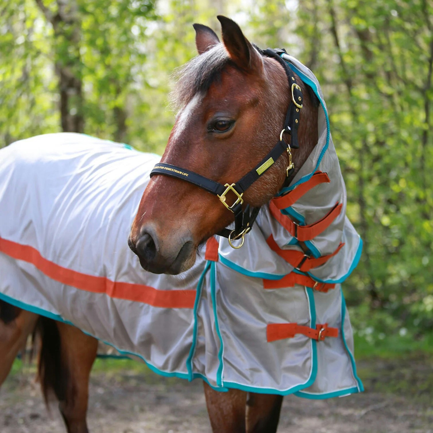 HANSBO SPORT Flugtäcke med hals