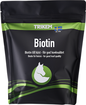 Trikem Biotin 1000g