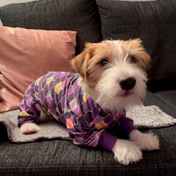 Regnbågsfjäll pyjamas