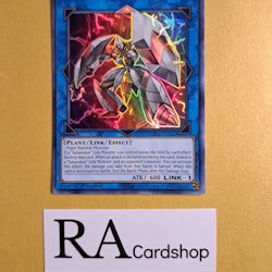 Sunvine Gardna 1st Edition EN022 Ghosts From the Past GFTP Yu-Gi-Oh