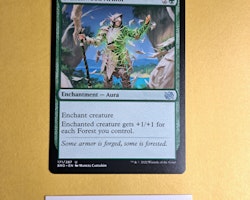 Wasteful Harvest Common 196/287 The Brothers War Magic the Gathering