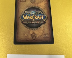 Sap 82/252 The Hunt For Illidan World of Warcraft TCG