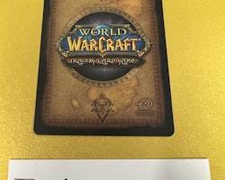 Watcher Mal`wi 269/361 Heroes of Azeroth World of Warcraft TCG