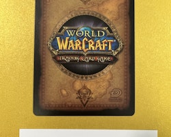 Ra`waza Stonetusk 165/252 The Hunt for Illidan World of Warcraft TCG