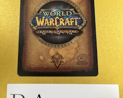 Liandra Rustshadow 131/252 The Hunt for Illidan World of Warcraft TCG