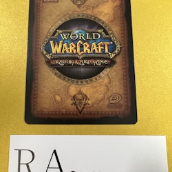Liandra Rustshadow 131/252 The Hunt for Illidan World of Warcraft TCG