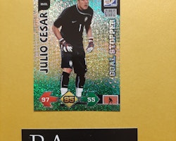 Julio Cesar Goal Stopper 2010 FIFA World Cup South Africa Adrenalyn XL