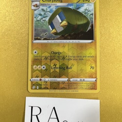 Charjabug Reverse Holo Uncommon 65/192 Rebel Clash Pokemon