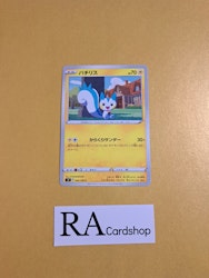 Pachirisu Common 040/100 s9 Star Birth Pokemon