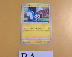 Pachirisu Common 040/100 s9 Star Birth Pokemon
