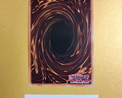 Good & Evil in the Burning Abyss LIMITED EDITION ENS14 Eternity SECE Yu-Gi-Oh