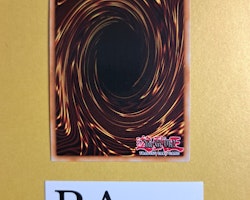 Draghig Malebranche of the Burning Abyss 1st EDITION EN082 Crossed Souls CROS Yu-Gi-Oh