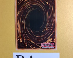 The Terminus of the Burning Abyss 1st EDITION EN085 Crossed Souls CROS Yu-Gi-Oh