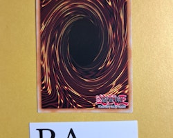 Counter Gate 1st EDITION ENS10 The Dark Side of Dimensions Movie Pack MVP1 Yu-Gi-Oh