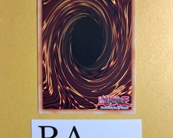 Cubic Mandal 1st EDITION ENS44 The Dark Side of Dimensions Movie Pack MVP1 Yu-Gi-Oh