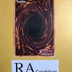 Samsara Dragon 1st Edition EN037 Ghosts From the Past: The 2nd Haunting GFP2 Yu-Gi-Oh
