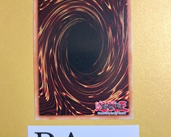 Chaos Grepher 1st Edition EN039 Ghosts From the Past: The 2nd Haunting GFP2 Yu-Gi-Oh