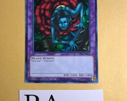 Rose Spectre of Dunn 1st Edition EN121 Ghosts From the Past: The 2nd Haunting GFP2 Yu-Gi-Oh