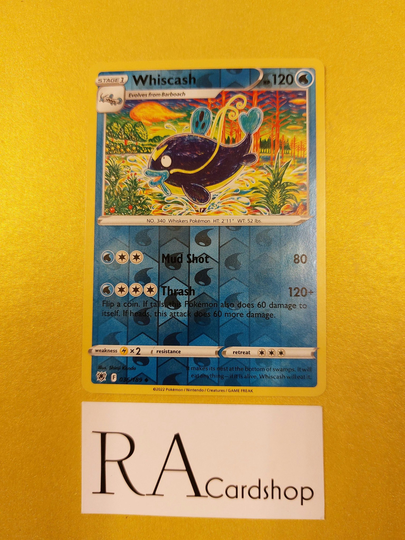 Whiscash Reverse Holo Uncommon 036/189 Astral Radiance Pokemon