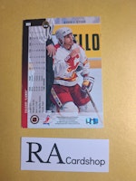 Ronnie Stern 94-95 Upper Deck #27 NHL Hockey