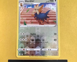 Herdier Reverse Holo Uncommon 134/203 Evolving Skies Pokemon