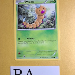 Weedle Common 1/160 Primal Clash Pokemon