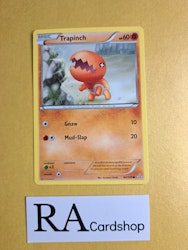 Trapinch Common 82/160 Primal Clash Pokemon
