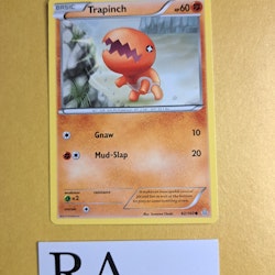 Trapinch Common 82/160 Primal Clash Pokemon