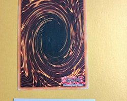 Swords of Revealing Light (1) Common 1st Edition SD1-EN014 Structure Deck: Dragon's Roar SD1 Yu-Gi-Oh