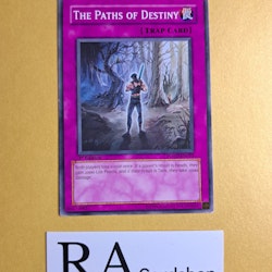 The Paths of Destiny Common 1st Edition POTD-EN052 Power of the Duelist POTD Yu-Gi-Oh