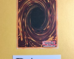 D - Time Common 1st Edition DP05-En025 Duelist Pack 5: Aster Phoenix DP05 Yu-Go-Oh