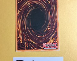 D - Chain Common 1st Edition DP05-EN028 Duelist Pack 5: Aster Phoenix DP05 Yu-Go-Oh