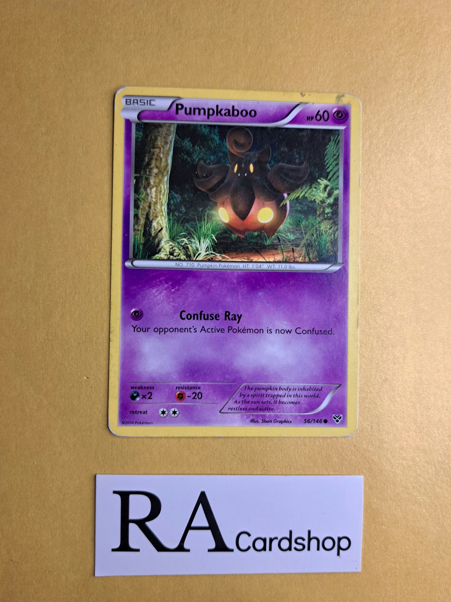Pumpkaboo Common 56/146 XY Base Set Pokemon