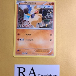 Makuhita Common 51/111 Furious Fist Pokemon