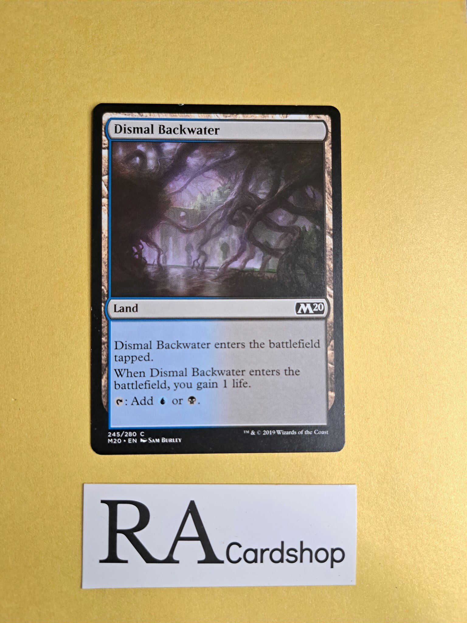 Dismal Backwater Common 245/280 Core 2020 (M20) Magic the Gathering