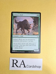 Arlinns Wolf Common 151/264 War of the Spark (WAR) Magic the Gathering