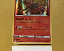 Pyroar Holo Rare 029/196 Lost Origin Pokémon