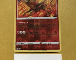 Pyroar Reverse Holo Rare 029/196 Lost Origin Pokémon