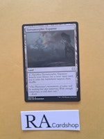 Terramorphic Expanse Common 261/271 Phyrexia All Will Be One Magic the Gathering