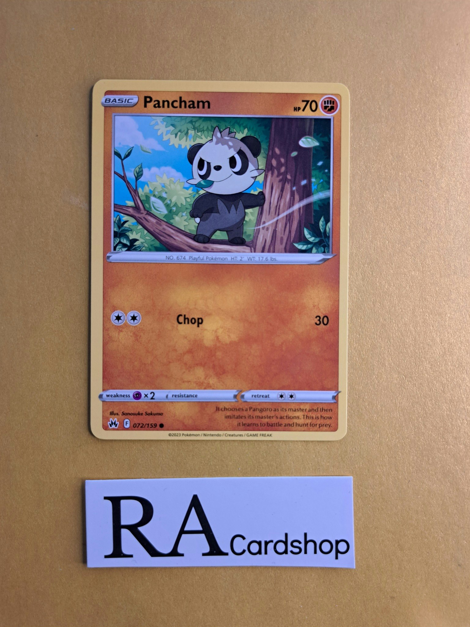 Pancham Common 072/159 Crown Zenith Pokemon