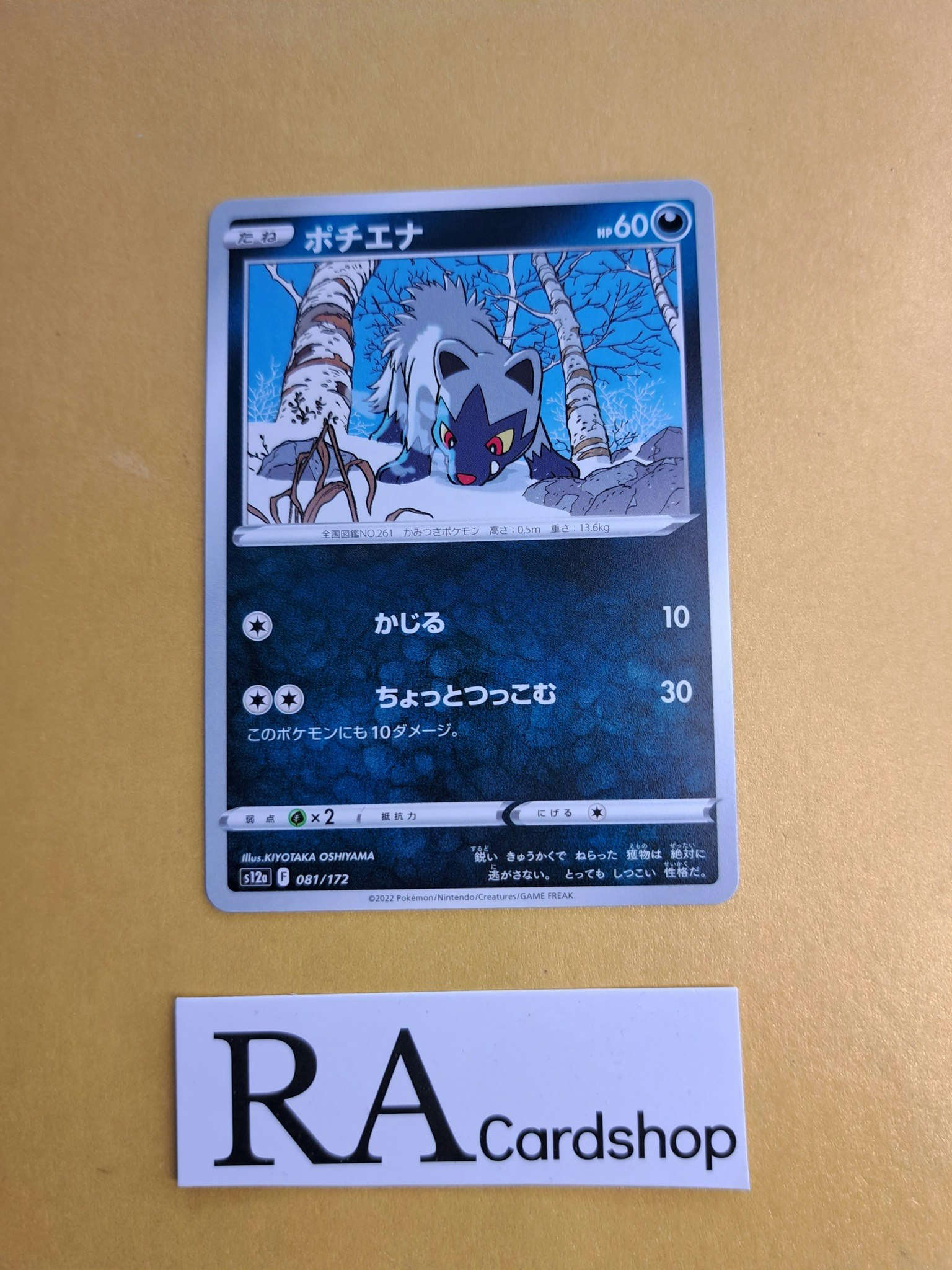 Poochyena 081/172 VSTAR Universe s12a Pokemon