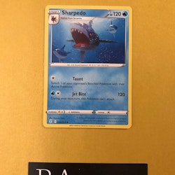 Sharpedo Rare 036/203 Pokemon