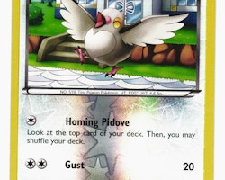 Pidove Common Reverse Holo 78/108 Roaring Skies Pokemon