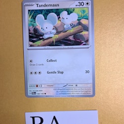 Tandemaus Common 166/193 Paldea Evolved Pokemon