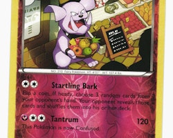 Granbull Uncommon Reverse Holo 99/162 XY BREAKthrough Pokemon