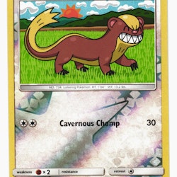 Yungoos Reverse Holo Common 180/236 Unified Minds Pokemon