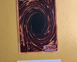 Helshadoll Hollow GFTP-EN007 1st Edition Ghosts From the Past Yu-Gi-Oh