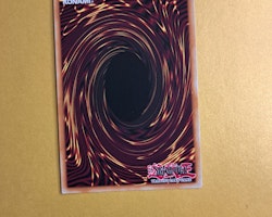 Sky Striker Airspace Area Zero DASA-EN039 Dark Saviors Yu-Gi-Oh